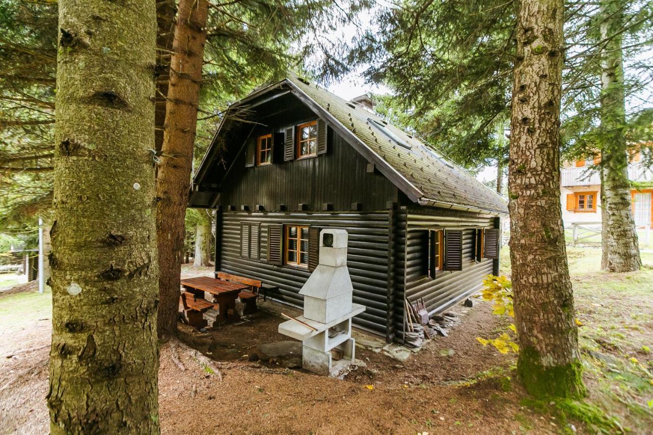 Chalet Liza & Rozi Zgornja Loznica Exteriér fotografie