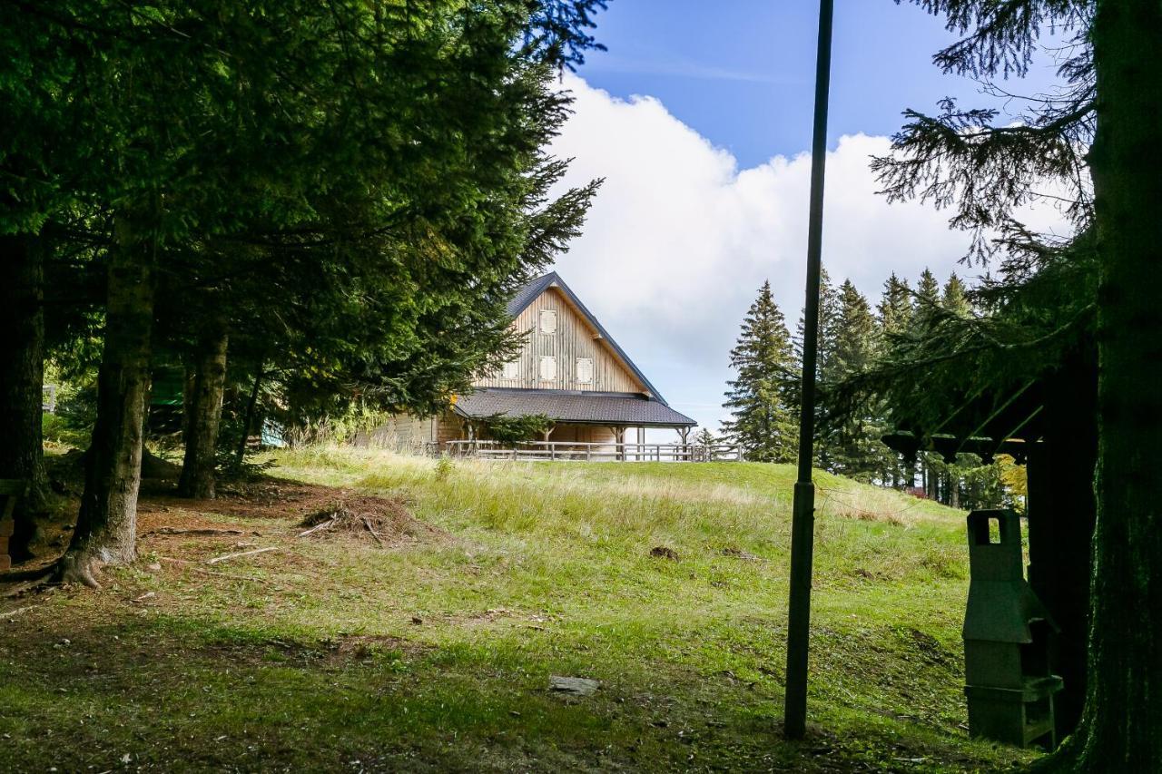 Chalet Liza & Rozi Zgornja Loznica Exteriér fotografie