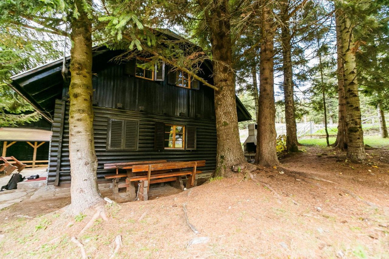 Chalet Liza & Rozi Zgornja Loznica Exteriér fotografie